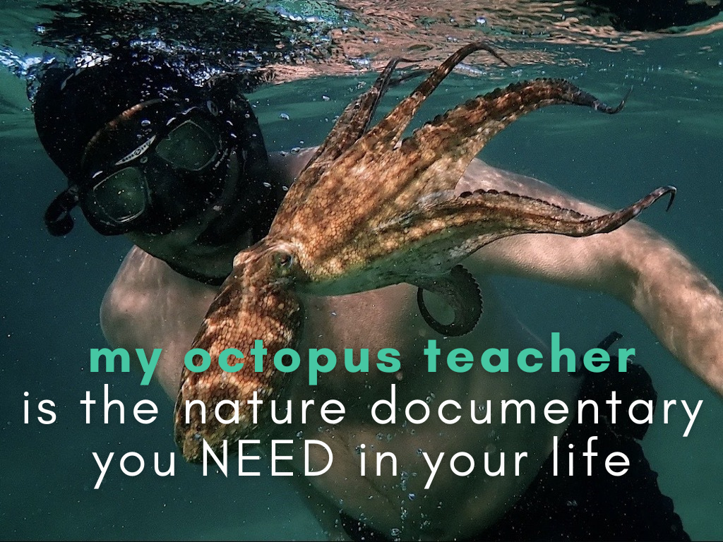 Netflix 'My Octopus Teacher' Is The Nature Film You Need To Watch Right Now