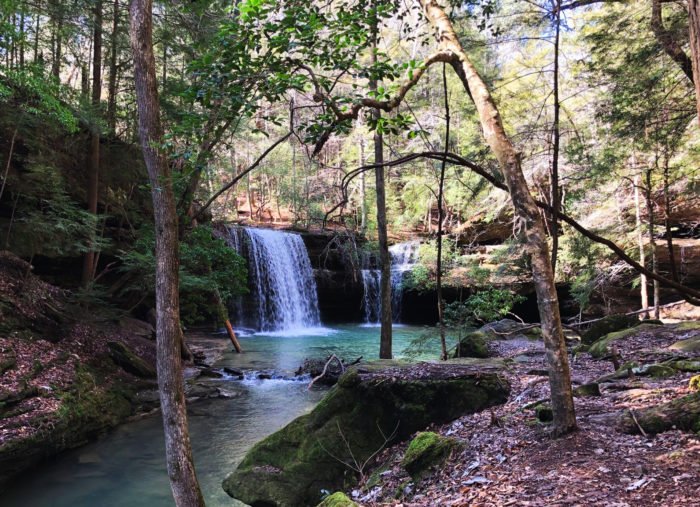 Be In Awe Of The Natural Beauty Found On This Short, Secluded Hike In Alabama''s William B. Bankhead National Forest