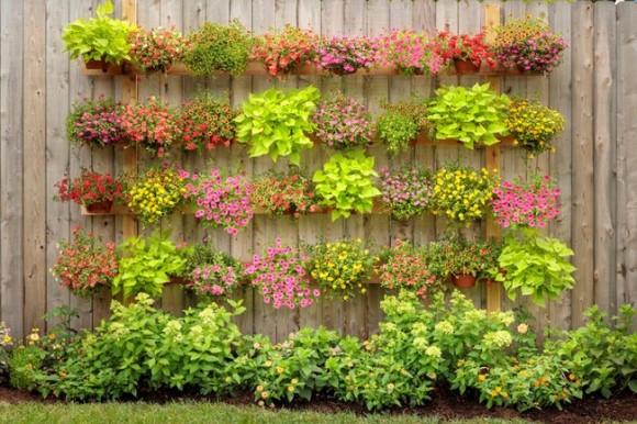 DIY Vertical wall planting