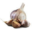https://www.thegarlicfarm.co.uk/product/green-garlic-medium-bulbs?utm_source=Email_Newsletter&utm_medium=Retail&utm_campaign=CV_Aug20_1