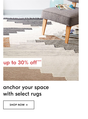 anchor your space with select rugs
