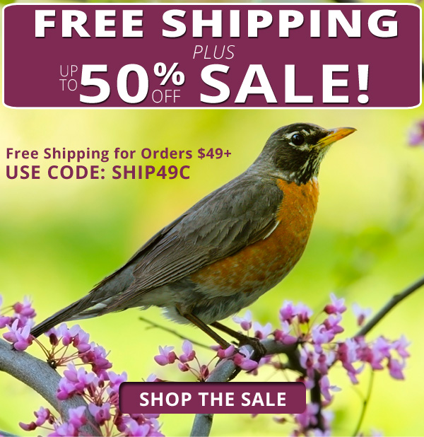 Free Shipping for Orders Over $49! Plus, Save up to 50%! Shop The Sale!