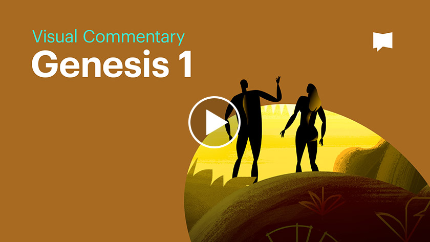 Visual Commentary: Genesis 1