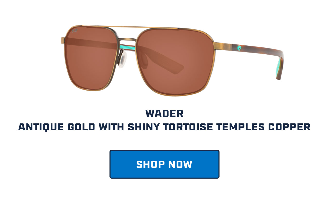 

WADER
ANTIQUE GOLD WITH SHINY TORTOISE TEMPLES COPPER

[ SHOP NOW ]


									