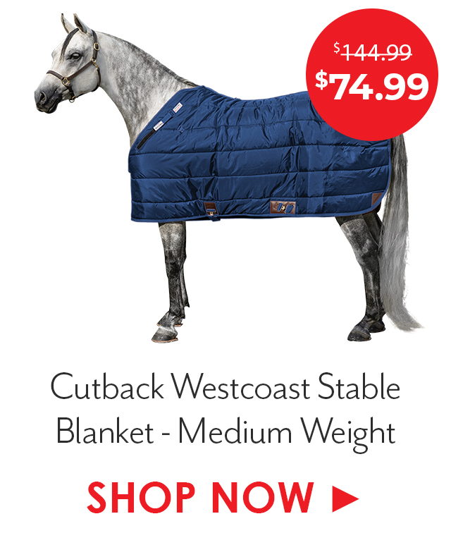 Adjusta-Fit Dura-Nylon Cutback Westcoast Leg Strap Stable Blanket - Medium Weight