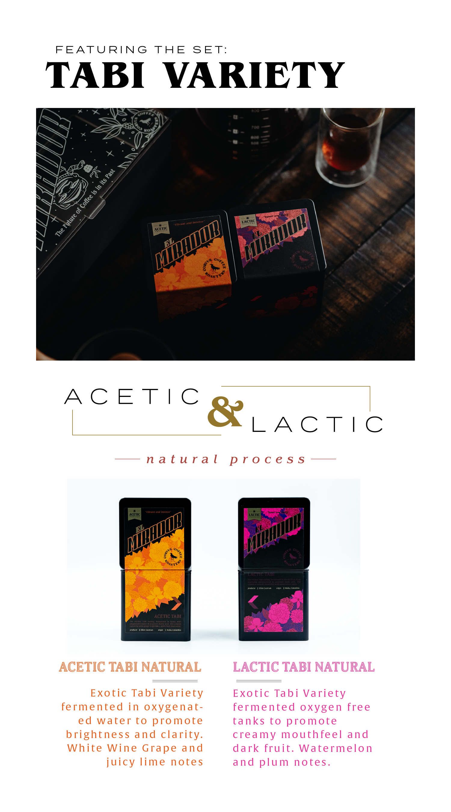 Acetic tabi: Exotic Tabi Variety fermented in oxygenated water to promote brightness and clarity. White Wine Grape and juicy lime notes. Lactic Tabi: Exotic Tabi Variety fermented oxygen free tanks to promote creamy mouthfeel and dark fruit. Watermelon and plum notes. 