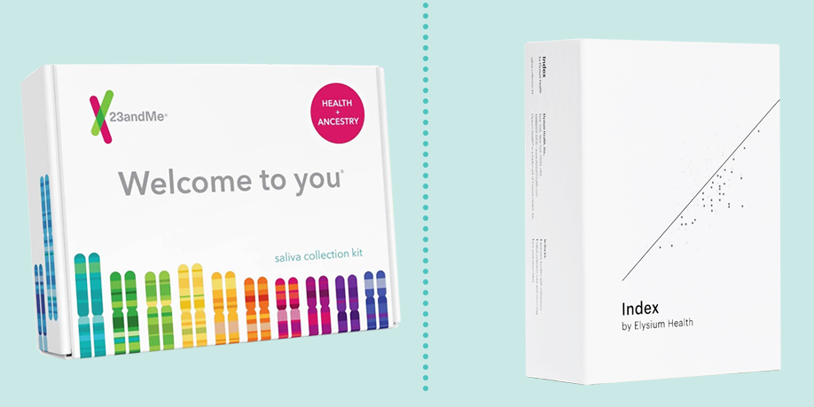 The best DNA test kits can tell you more about your genetics, health, ancestry, overall wellness, and more. We have the top picks including ones from 23andMe, Ancestry, and more.