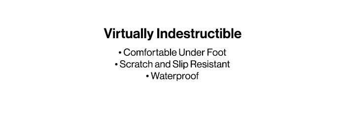 Virtually Indestructible