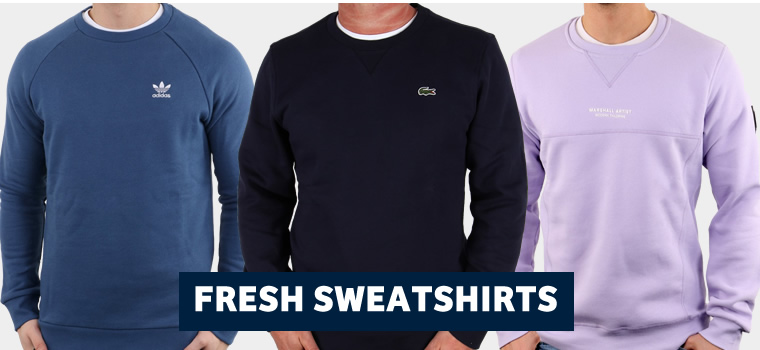 Sweatshirt Collection