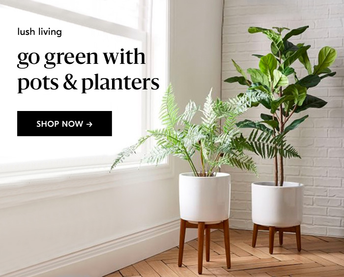 go green with pots & planters