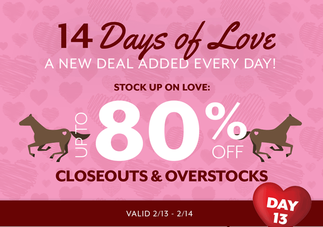 14 Days of Love - a new deal added every day. Today's lovely deal is on Closeouts and Overstocks.