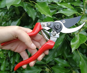 Left-handed garden pruner