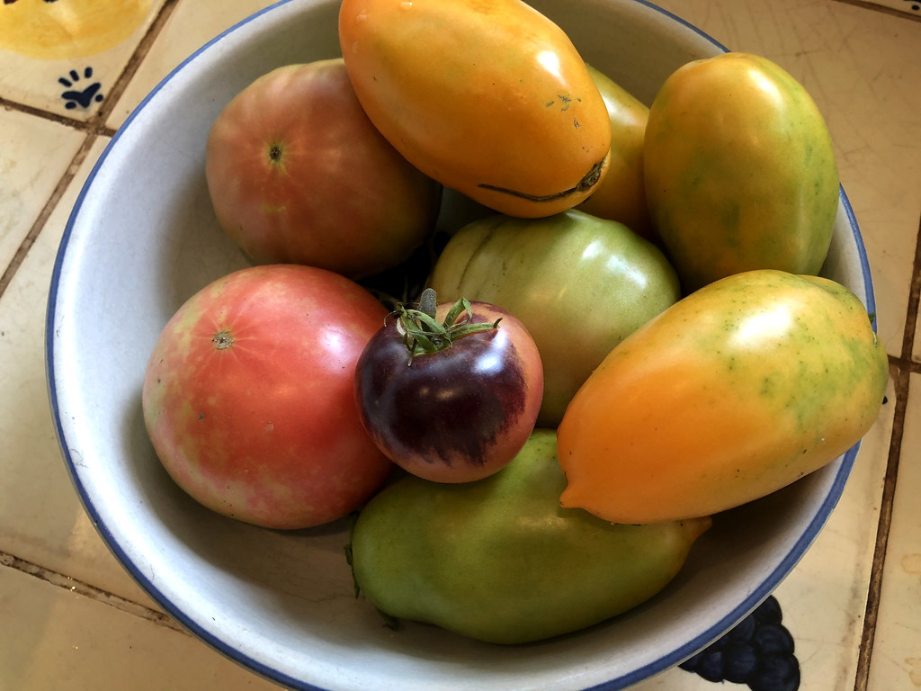 A variety of tomatoes in a bowl.