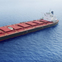 Dry bulk shipping rates have just hit a new 2020 high