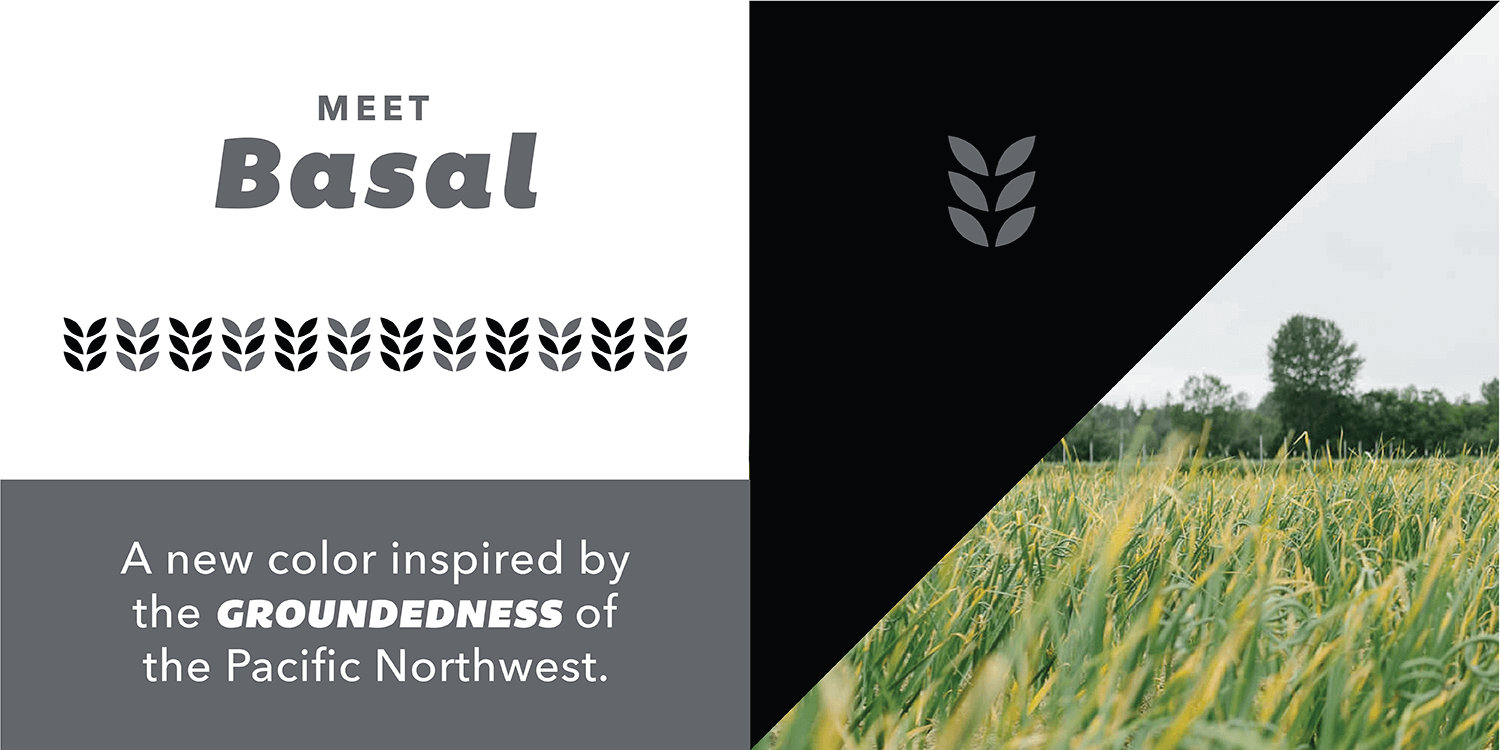 Meet Basal, a new color inspired by the groundedness of the Pacific Northwest.