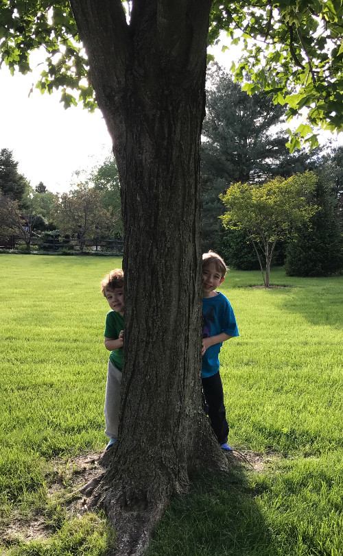 Children trying to hide behind a tree but still visible.