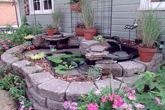 This DIY Above Ground Backyard Pond Has A Lot Going For It - screenshot