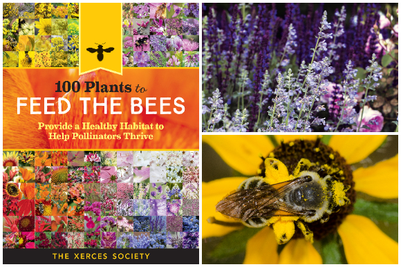 100 Plants to Feed the Bees book