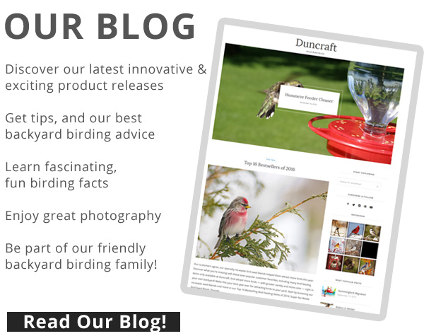 Visit Our Backyard Birding Blog!
