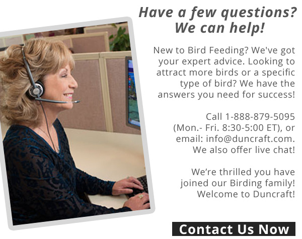 We''re here to help! Live Chat with us Now!