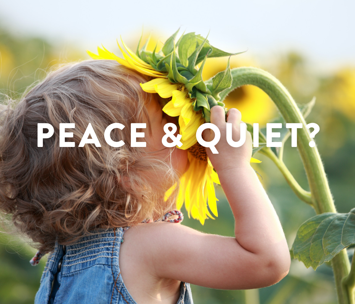 Peace & Quiet?