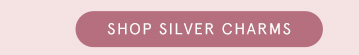 Shop Silver Charms