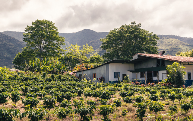 Costa Rica farms