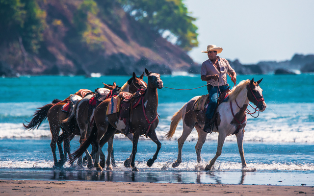 Costa Rica on Horseback