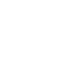 API-Fortress_Logo-2016_Black_Rf copy@2x-1