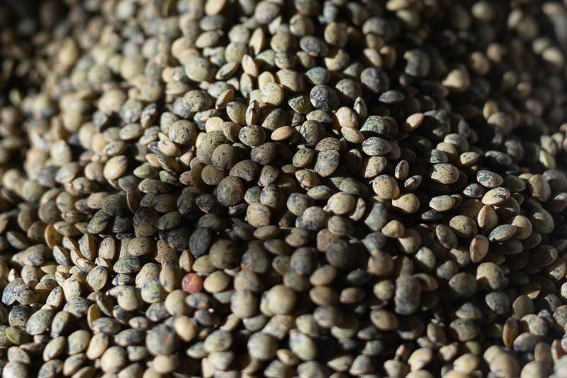 Image of French-Style Green Lentil