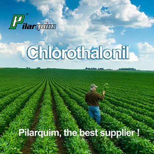 Pilarquim Chlorothalonil
