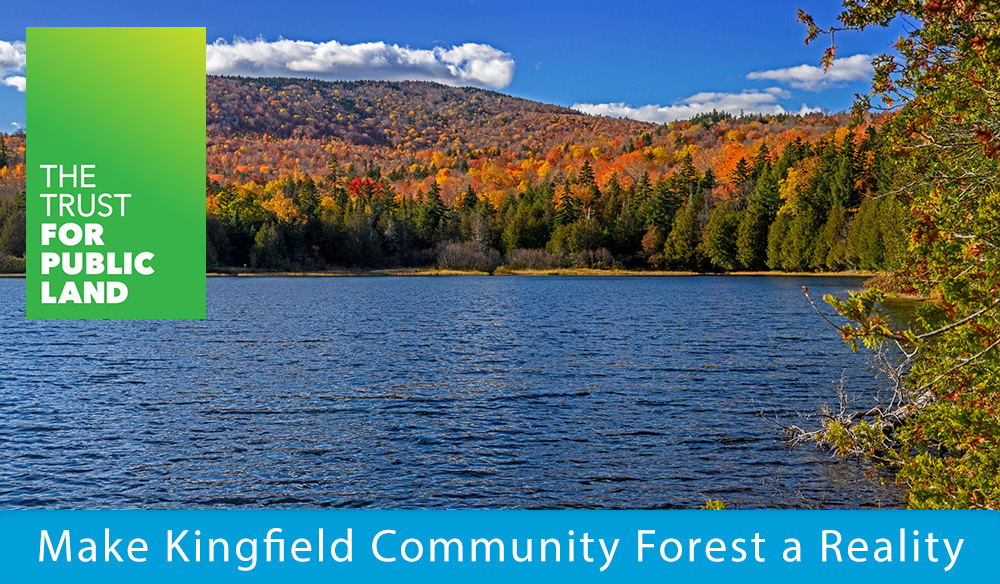 Make Kingfield Community Forest a Reality
