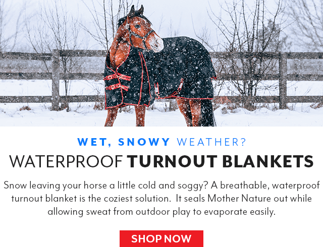 Wet, snowy weather? We have the waterproof turnout blankets to keep your horse dry and comfortable all season long.