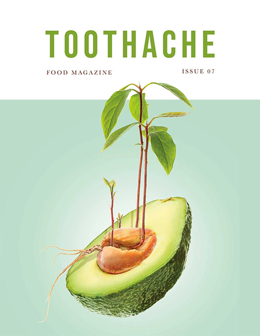 Toothache Magazine #7