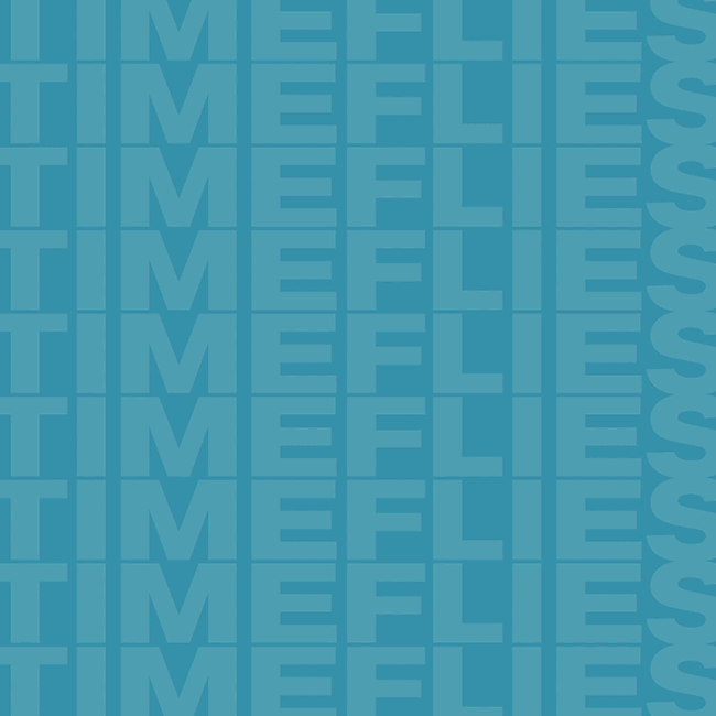 Timeflies - Tuesday Sale ECOM Banner