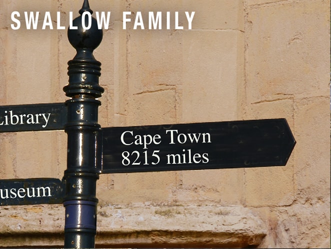 Swallow Family