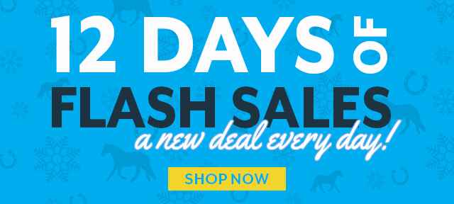 12 Days of Flash Sales. Check out today's holiday steal.
