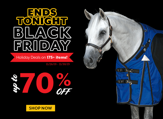 Ends Tonight! Black Friday Sale! Up to 70% off 175+ items.