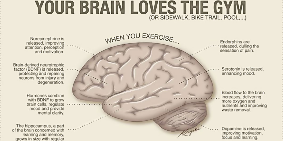 Older People Can Improve Brain Function By Keeping Fit