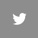 icon-twitter