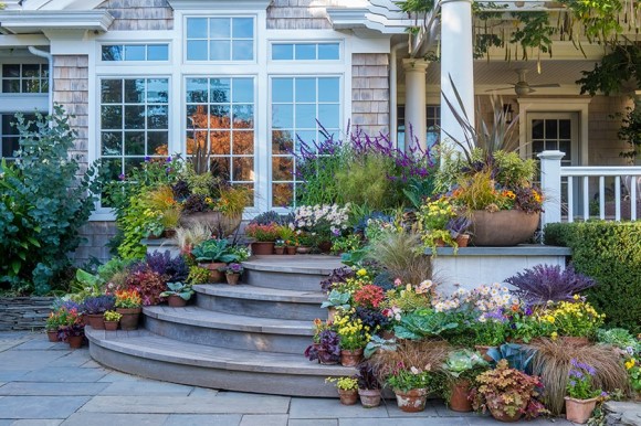 Fall porch steps with plant containers