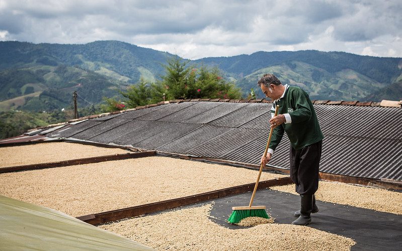 colombian coffee