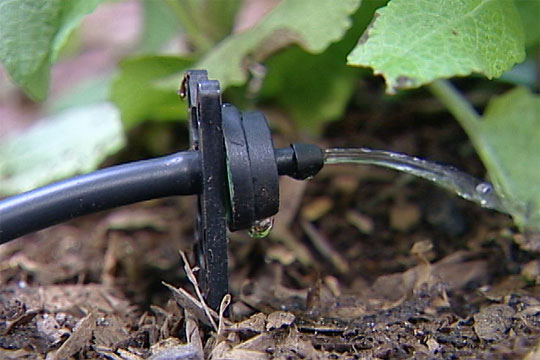 Simple Steps to Installing an Automatic Drip Irrigation System - screenshot