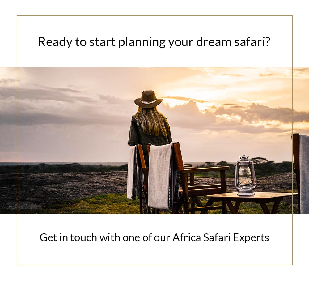 Ready to Start Planning Your Dream Safari?