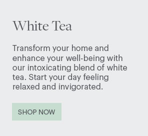 White Tea - Transform your home and enhance your well-being with our intoxicating blend of white tea. Start your day feeling relaxed and invigorated. Shop Now