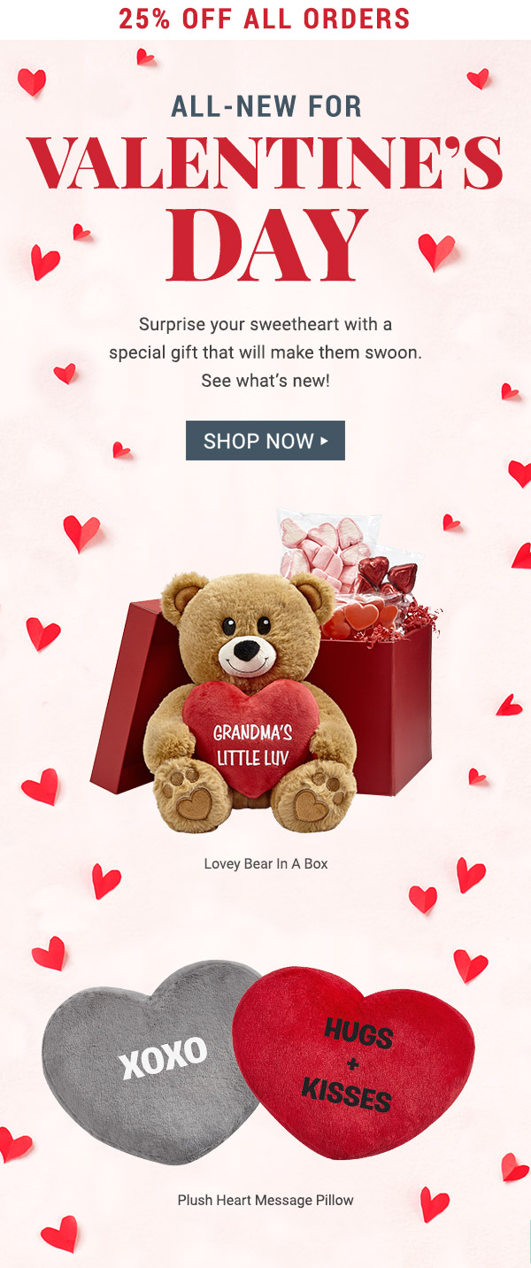 25% off all orders. All-New for Valentine's Day. Lovey Bear In A Box, Plush Heart Message Pillow
