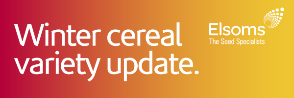 Winter cereal variety update