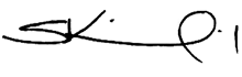 Steve King signature