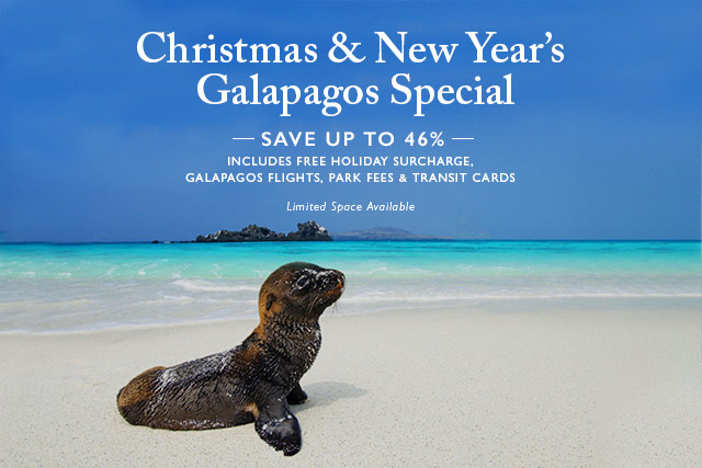 Christmas & New Year''s Galapagos Special 2020-21