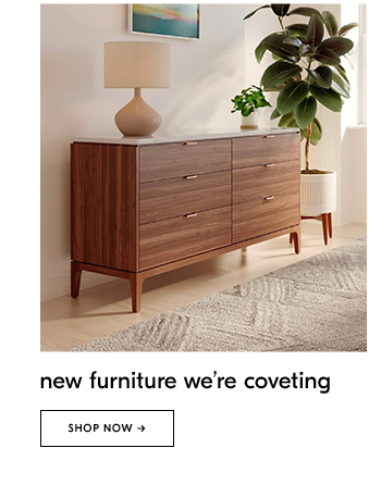 new furniture we’re coveting